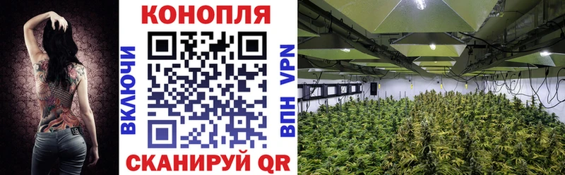 Как найти наркотики Дальнереченск Псилоцибиновые грибы  Мефедрон  Конопля  МЕТАМФЕТАМИН  Кокаин 
