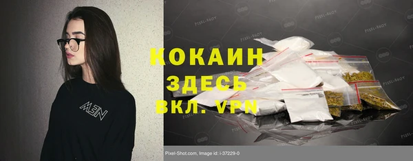 шишки Абинск