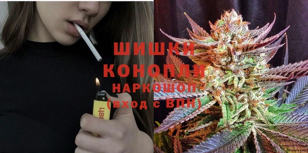 шишки Абинск